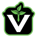 valutivityvlogo1color tiny